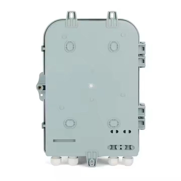 Kazakhstan Silicon Photonics Technology 800G