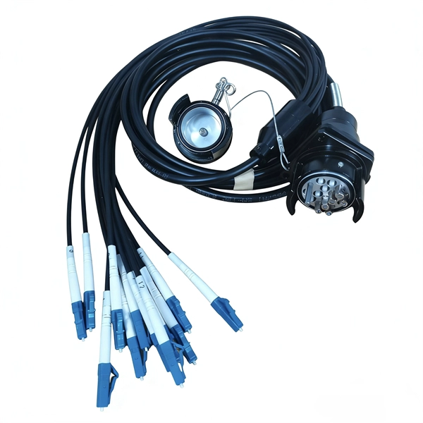 Single-mode fiber optic cables can reach 10 Gigabit speeds 