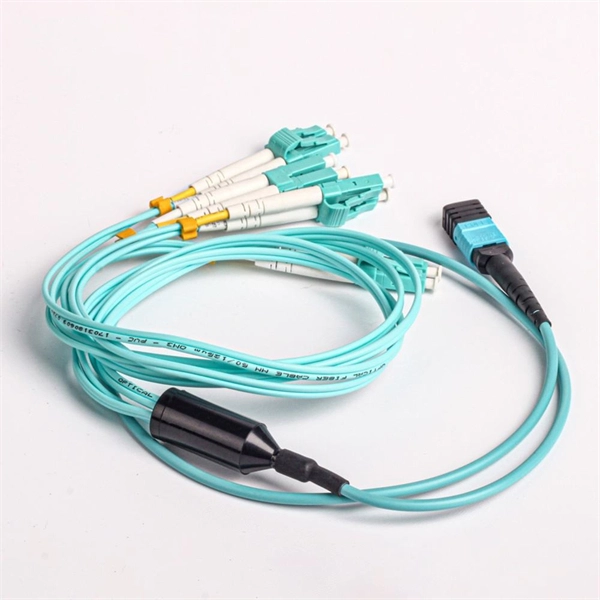 DTS Dedicated Wavelength Division Multiplexer