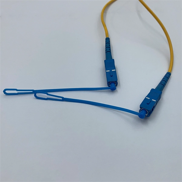 Compatible Silicon Photonics Fiber Optic Enterprise Router Rwanda Supplier