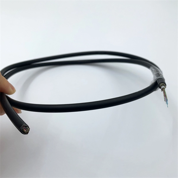 Insert 12-core fiber optic cable into the switch