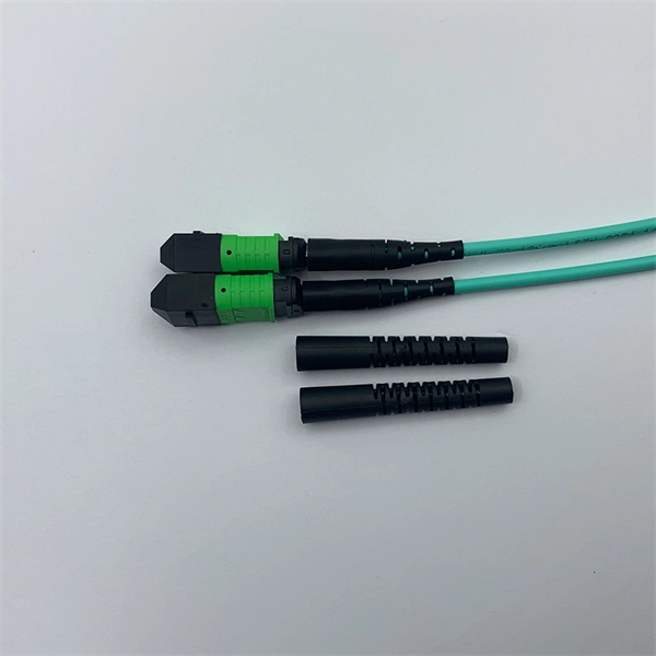 Singapore PTT Industrial Switch Manufacturer