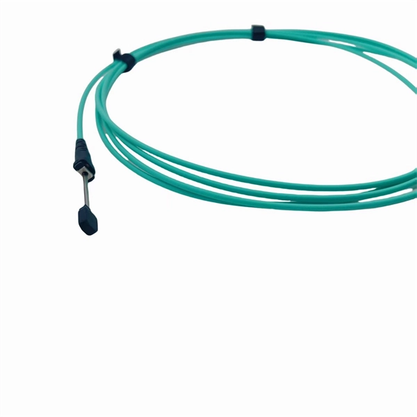 Routers that support direct fiber optic connections