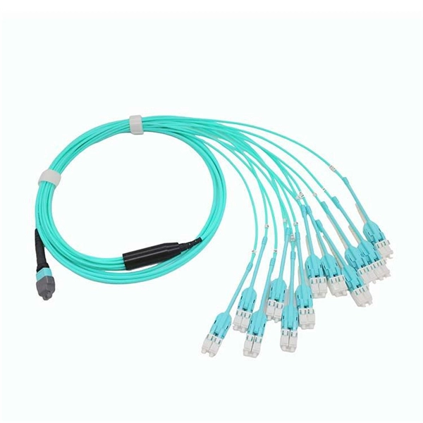 Polish cable management rack 800mm deep installation solution