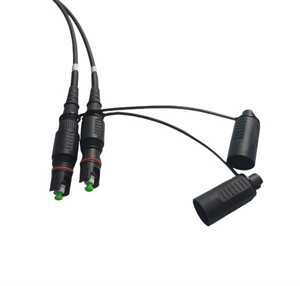 How to connect a Layer 2 switch to a fiber optic cable